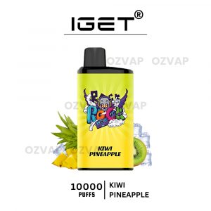 IGET Bar Pro 10000 Puffs Kiwi Pineapple