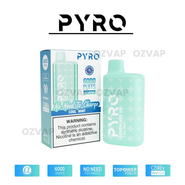 PYRO Vape 6000 Puffs 5% Cool Mint