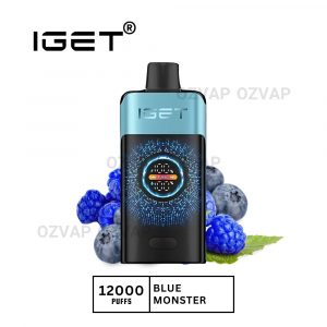 Iget One 12000 Puffs Blue Monster