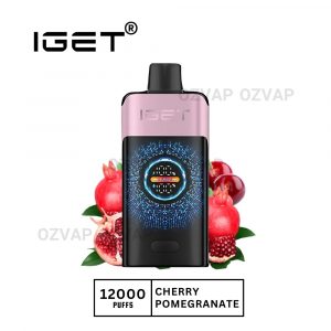 Iget One 12000 Puffs Cherry Pomegranate